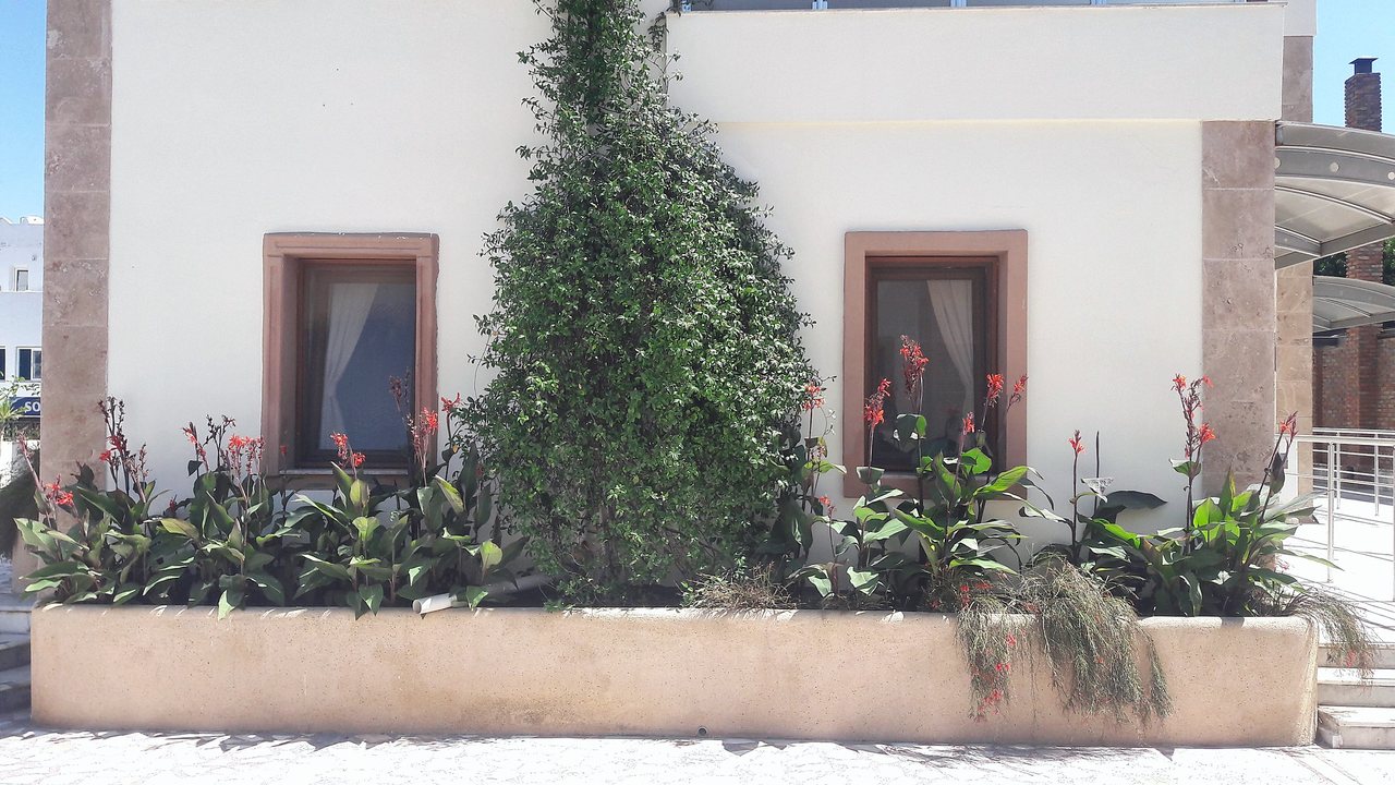 Olanaklar